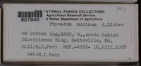 Image Associated With the Occurence